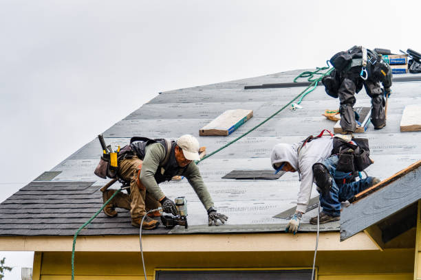 Professional Roofing technician working in Woodhull, IL